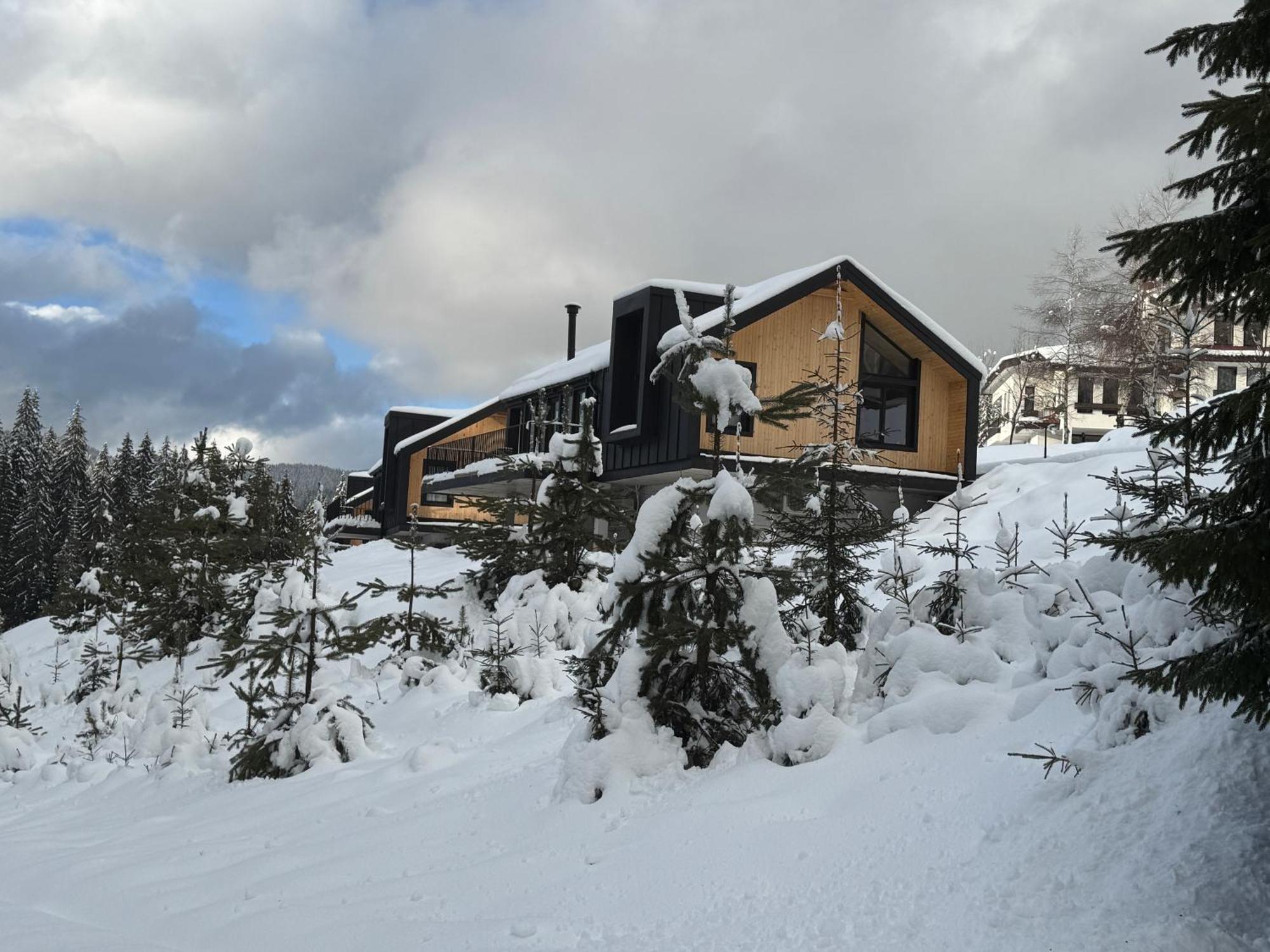High Five Villas Pamporovo Esterno foto