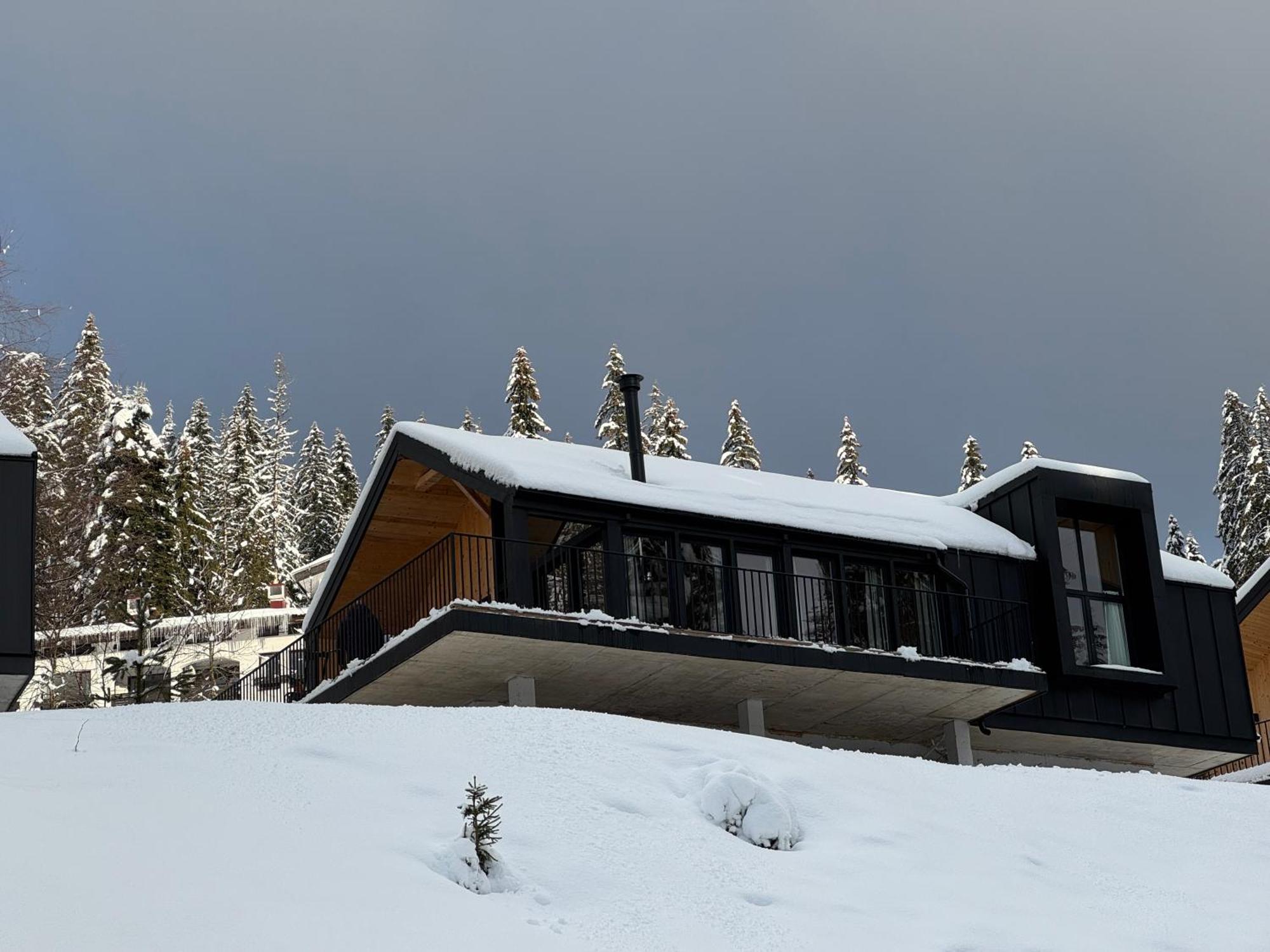 High Five Villas Pamporovo Esterno foto