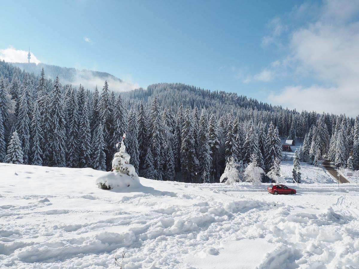 High Five Villas Pamporovo Esterno foto